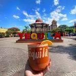 Tequila tour