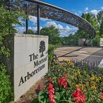 The Morton Arboretum