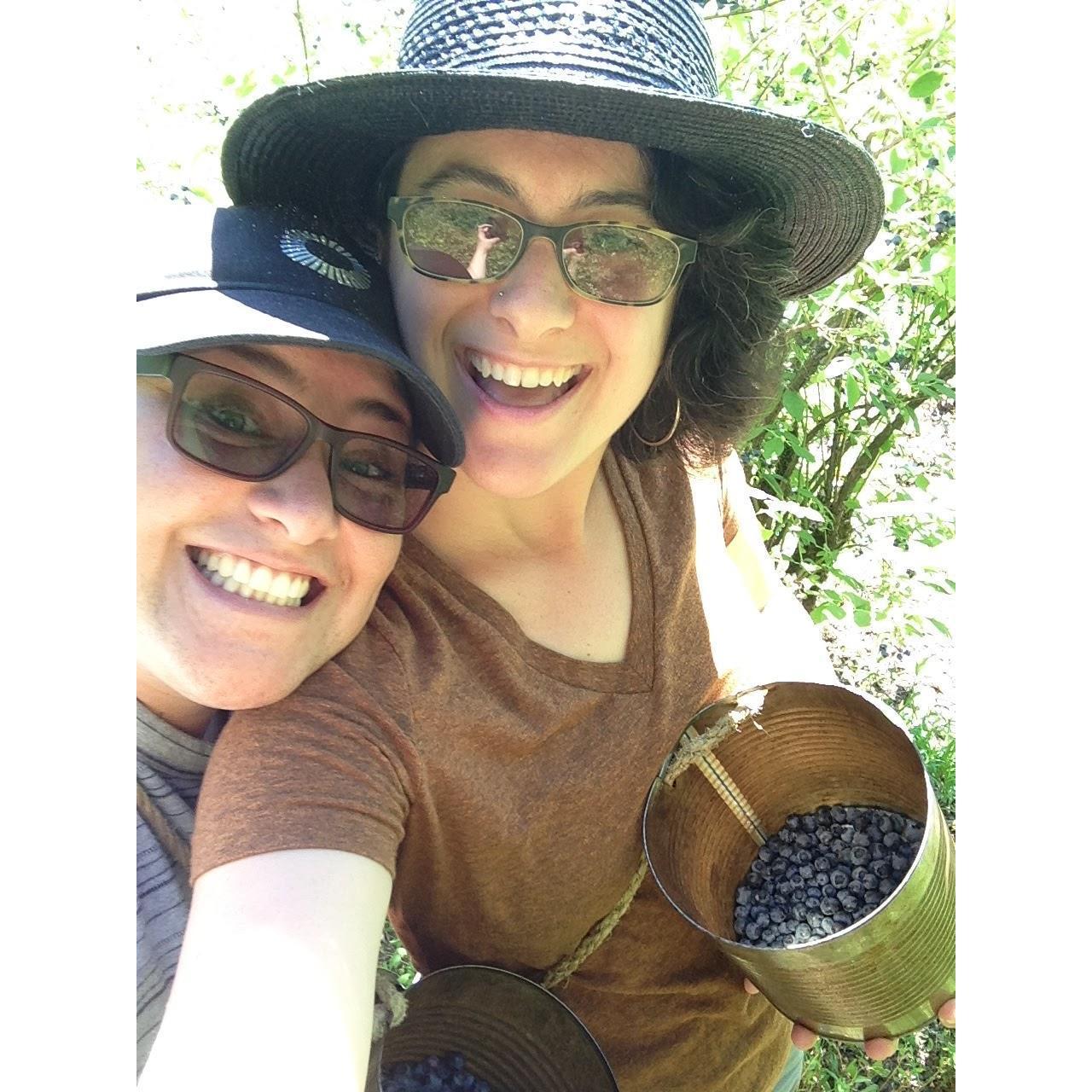 Blueberry picking!