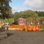 Wightman Farms