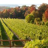 Traverse City