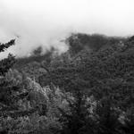 Pigeon Forge