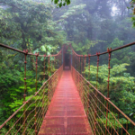 Monteverde