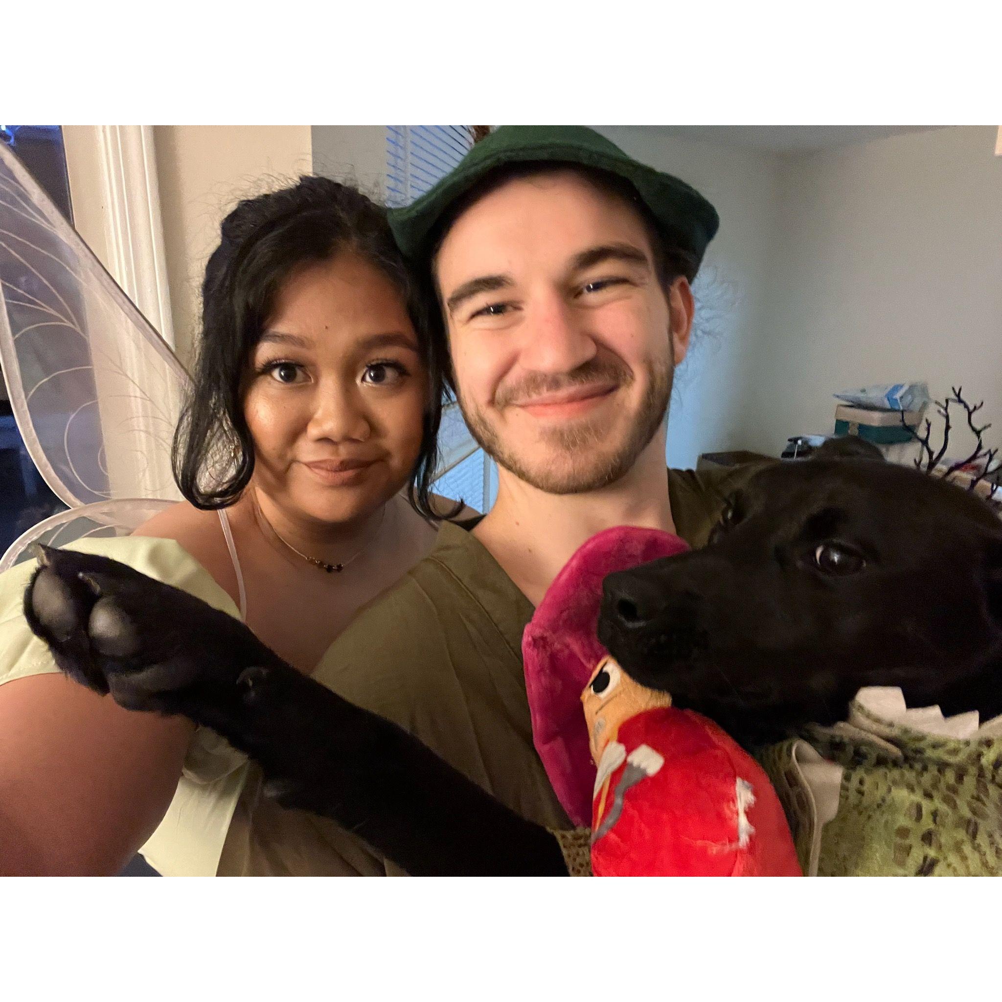 Our gorgeous and confused fur baby.