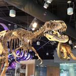 North Carolina Museum of Natural Sciences