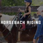Horseback Riding