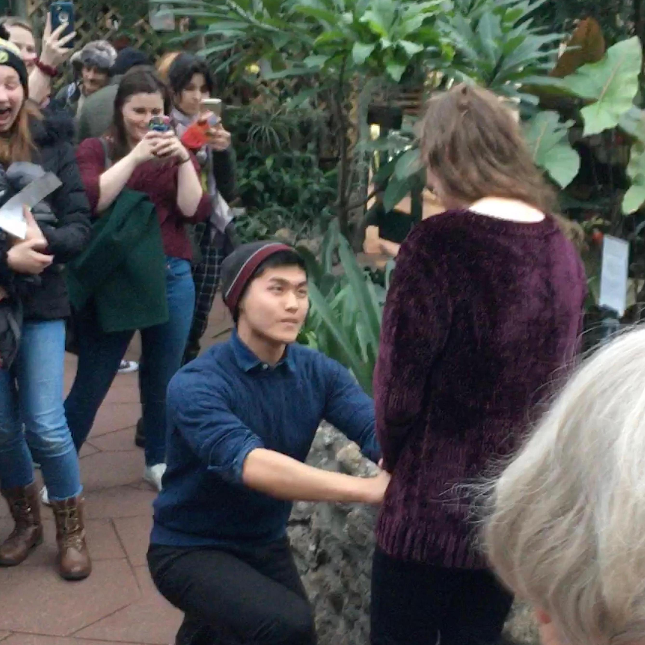 Proposal Shot 1: "Why is she silent? Is she gonna say no?" - Trust me, she did not utter a word for good ten seconds. (12/28/2019, Garfield Park Conservatory, Chicago, IL)