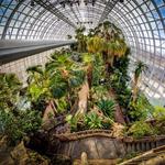 Myriad Botanical Gardens