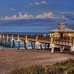 Juno Beach