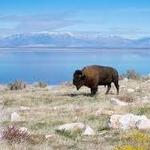 Antelope Island State Park