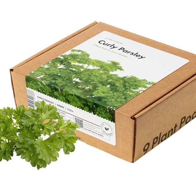 Click and Grow Curly Parsley Plant Pods for Smart Garden, 9-Pack