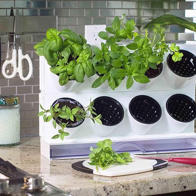 Watex Pixel Garden Desktop, Kitchen Farm, White