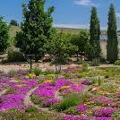 Denver Botanic Gardens Chatfield Farms