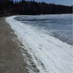 Swim at the Causeway Beach