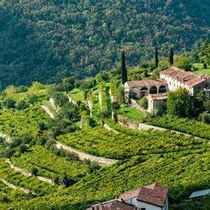 Verona Wine Tasting