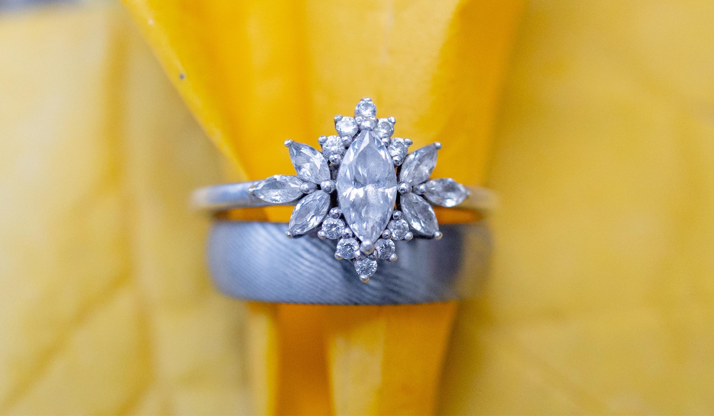 Hero Slideshow Image 5