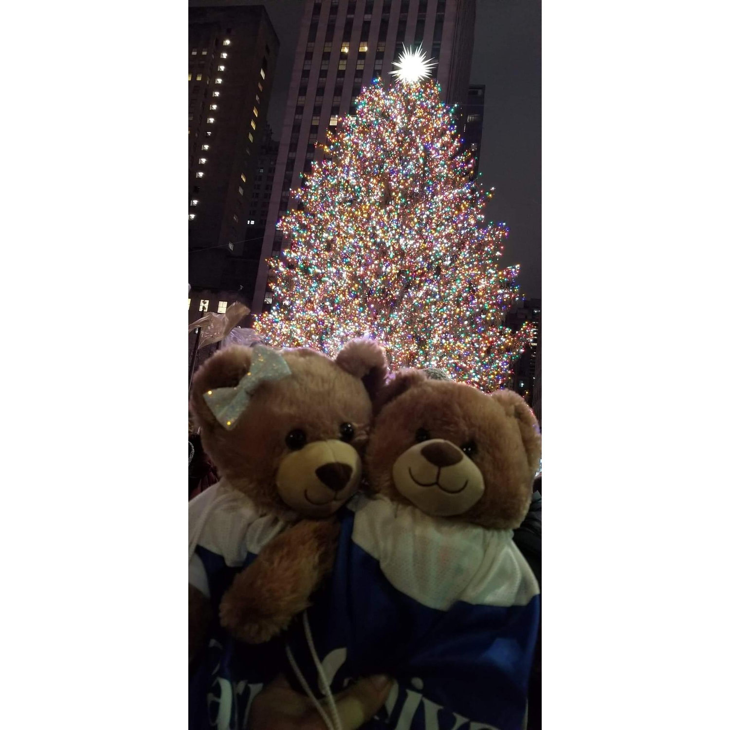 Teddy and Sugar do NYC