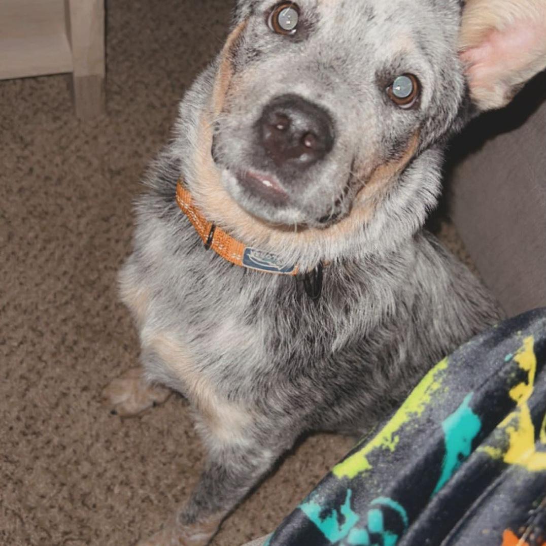 First night with Reese