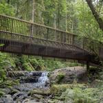 Forest Park