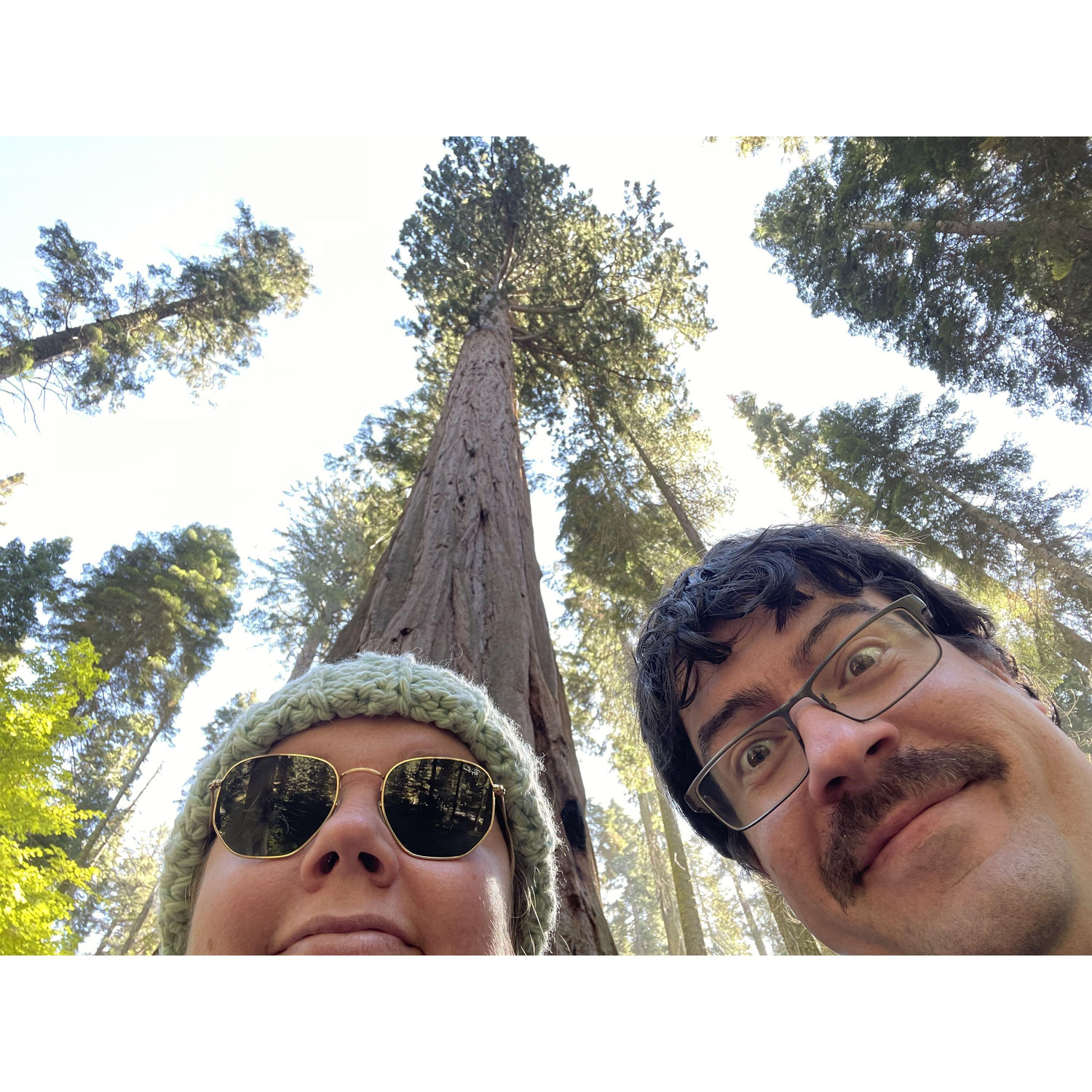 4th Anniversary - Sequoia National Park