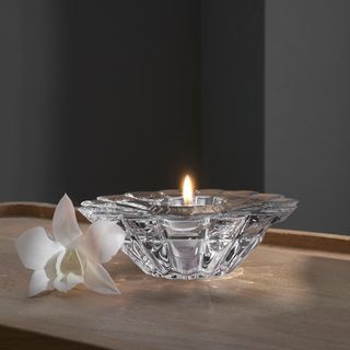 Aster Votive