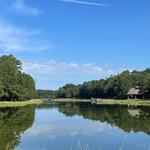 Tom Triplett Park