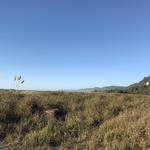 Prairie Creek Redwoods State Park