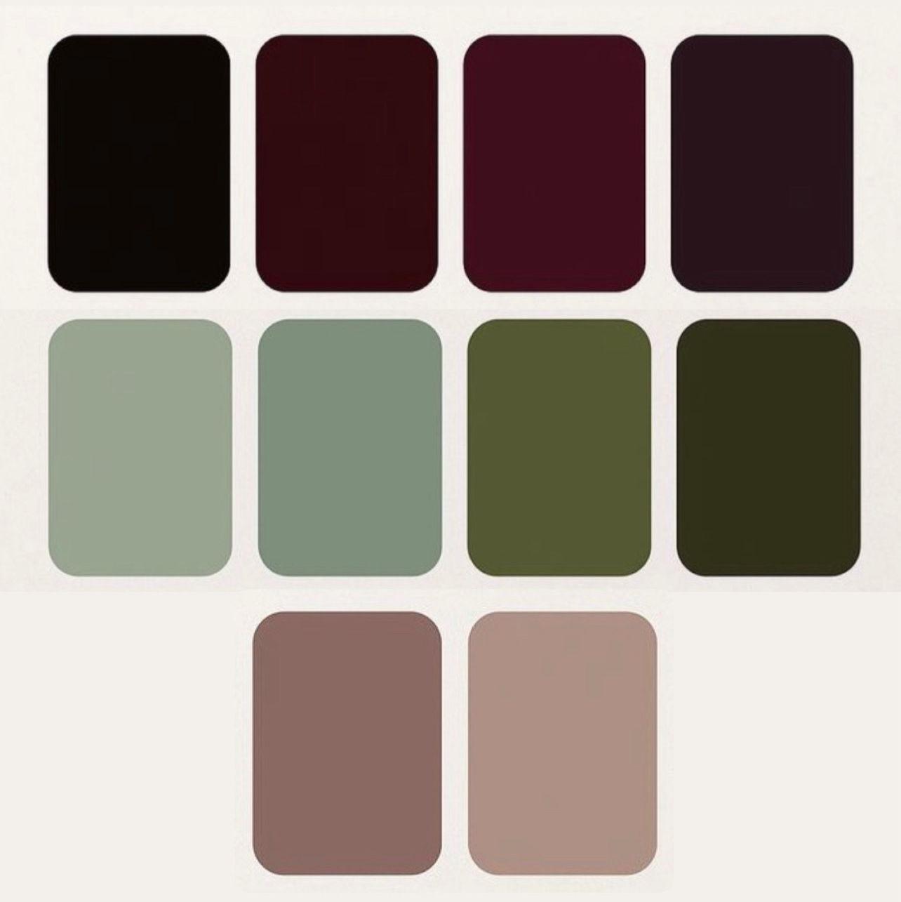 GUEST COLOR PALETTE
