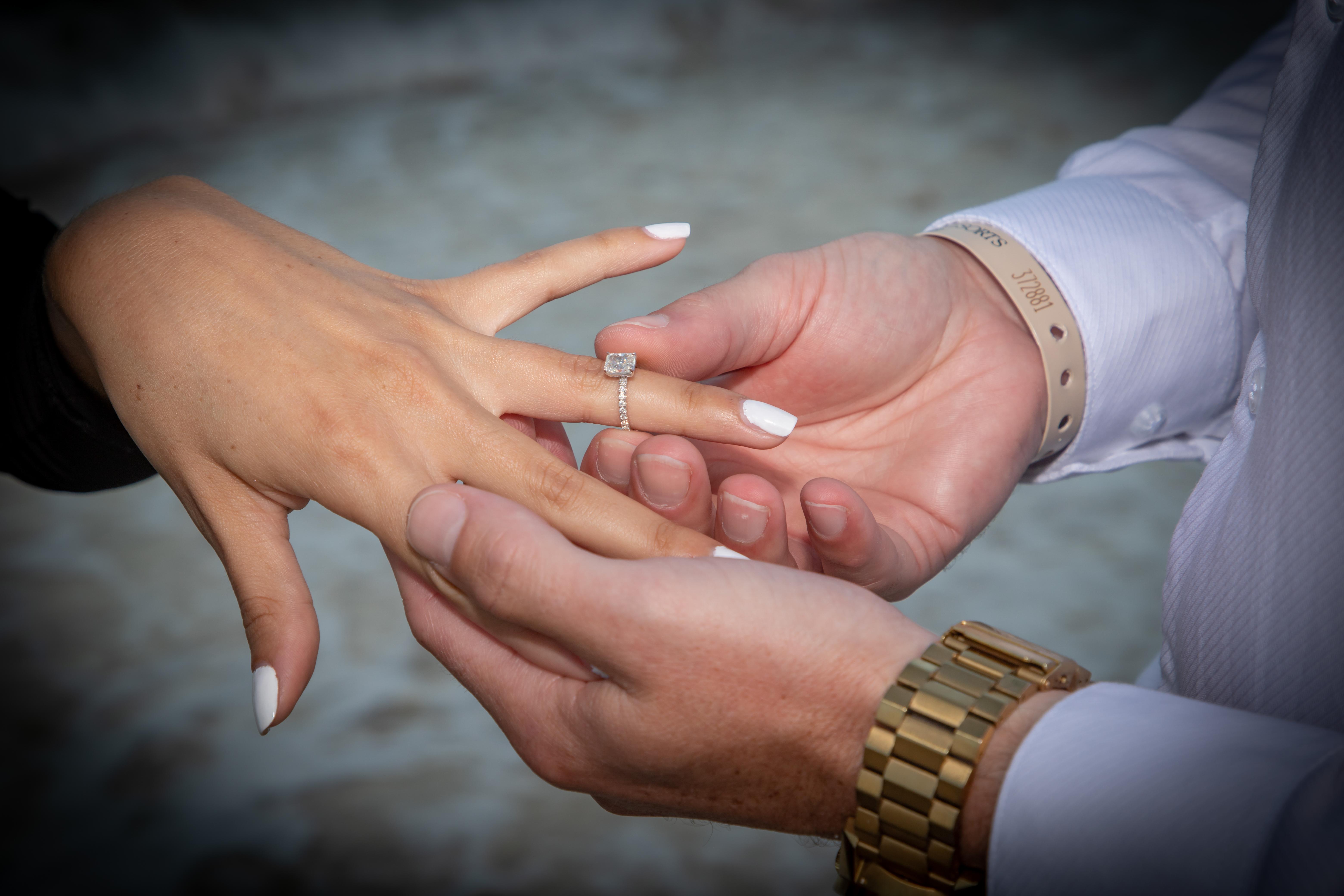 The Wedding Website of Michelle Ashley Vergara and Chadwick Walter Anderson