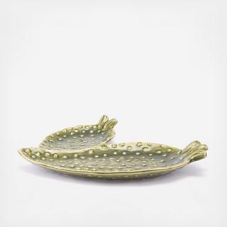 Cactus Dish