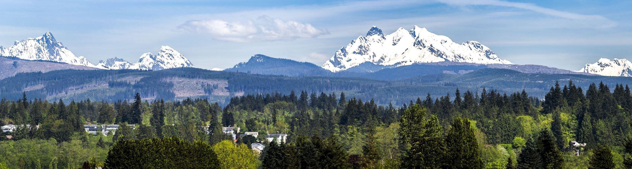 The Wedding Website of Rachel Medin and Justin Mortensen