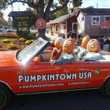 Pumpkintown USA