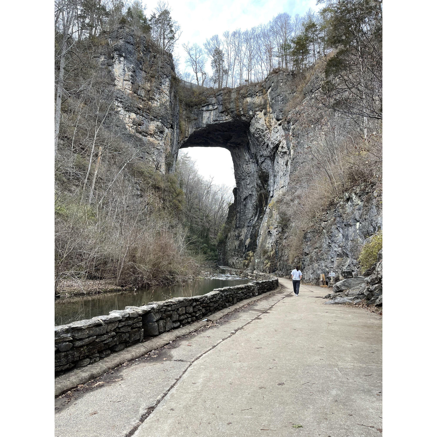 January 18th, 2023
Us getting dwarfed by one of natures wonders on the way back from Georgia. At Natural Bridge state park in Virginia.