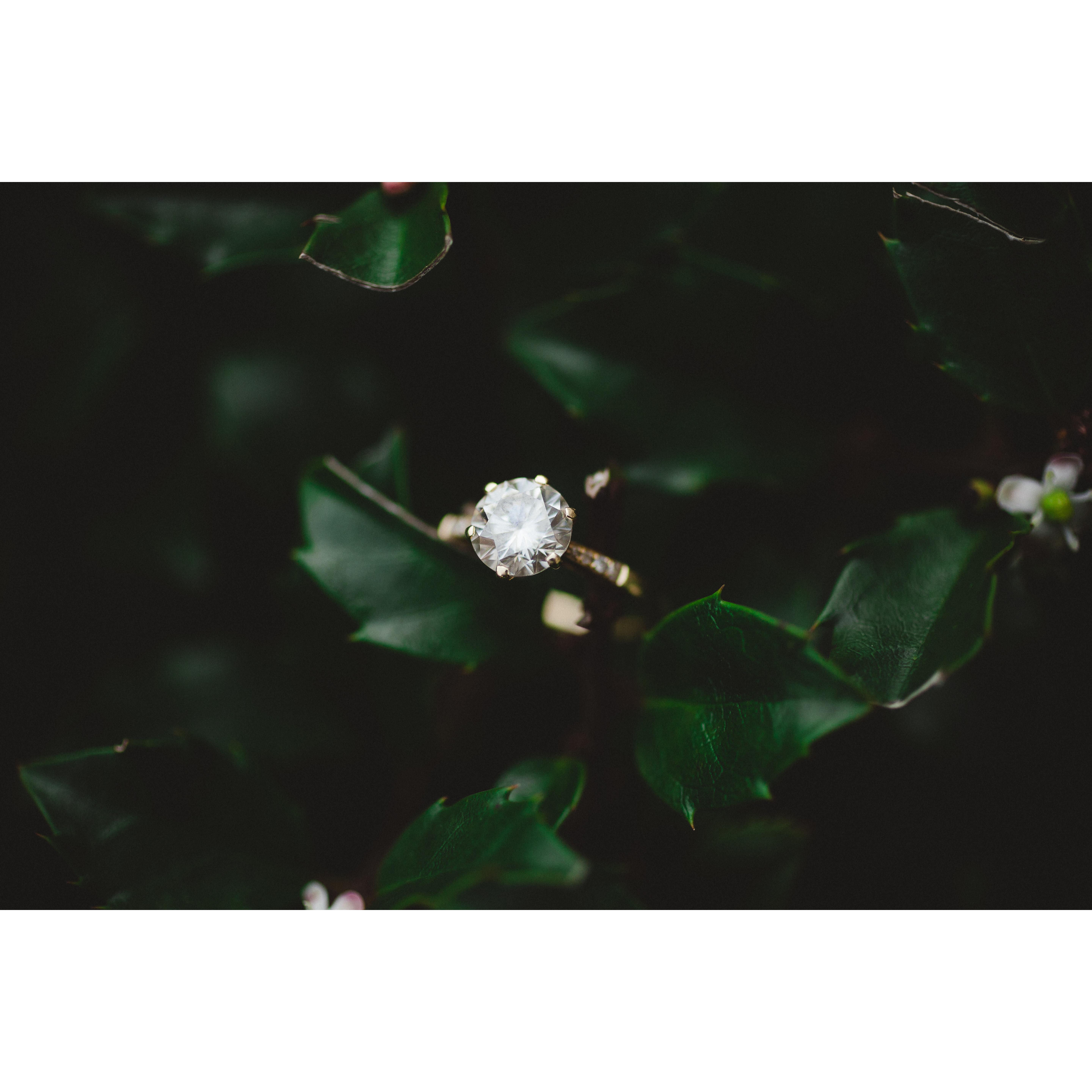 Sur La Lune Photography; Bowling Green, KY