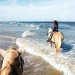Kelly Seahorse Ranch