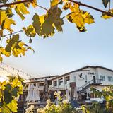 Temecula Wine Country