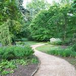Culture: Coker Arboretum