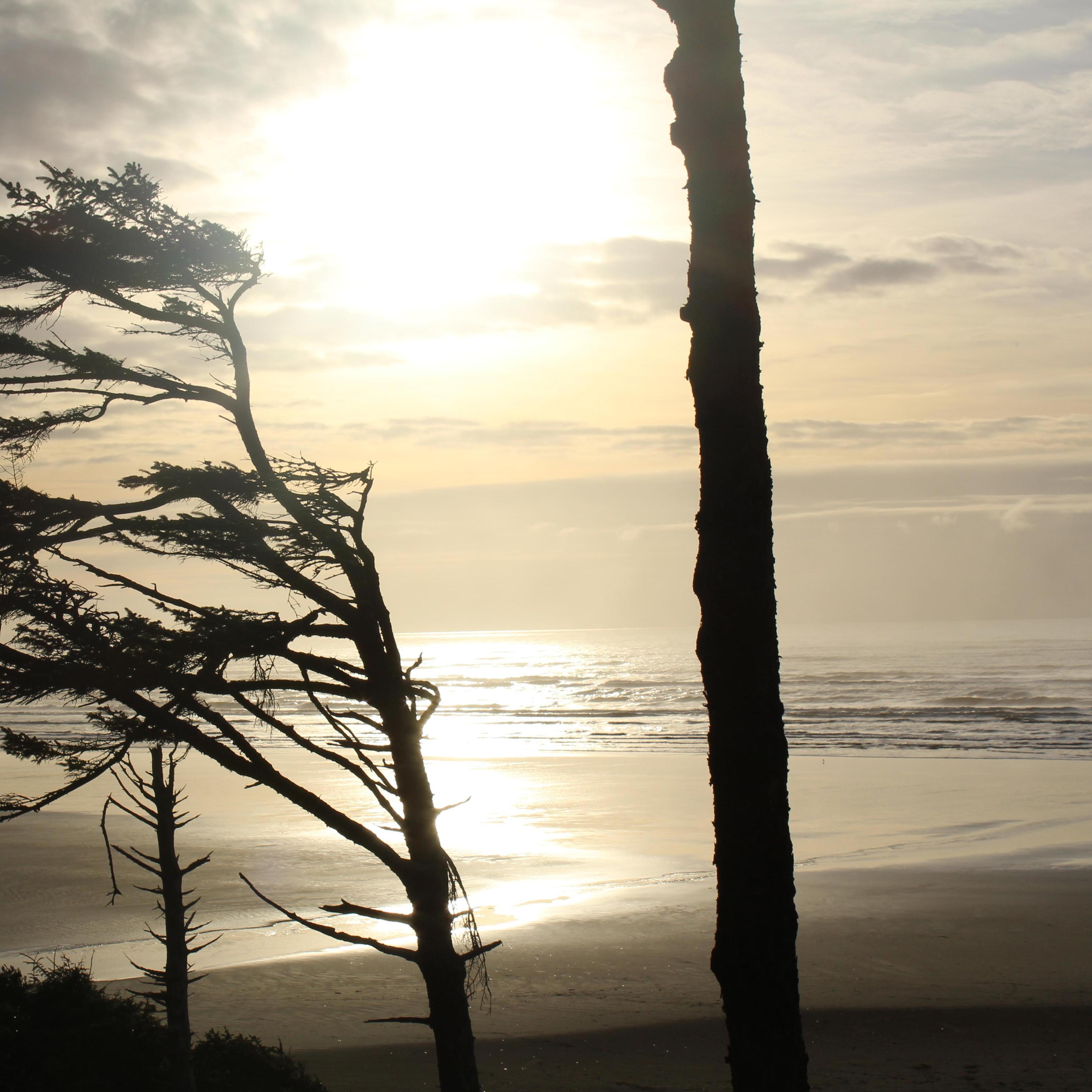 day of proposal. seabrook, wa.