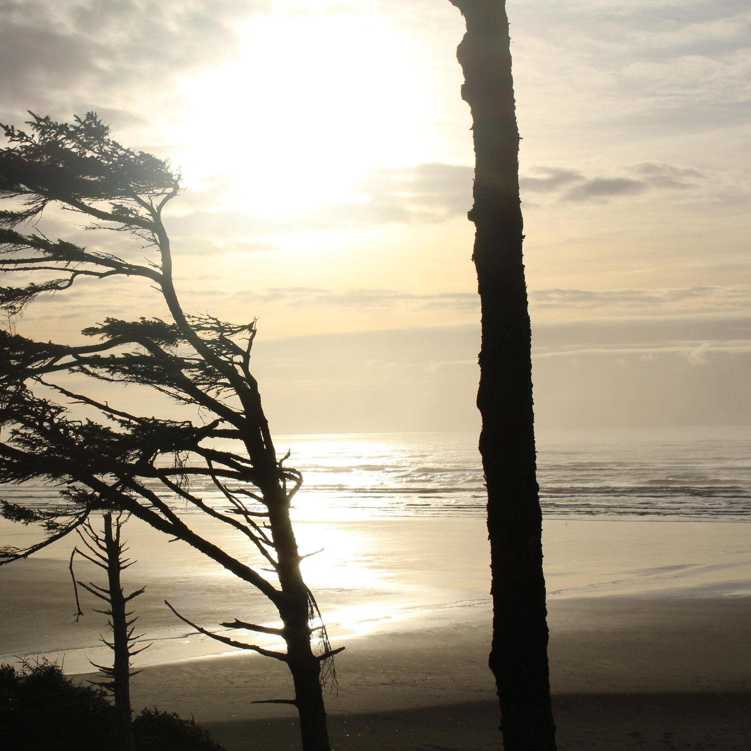 day of proposal. seabrook, wa.