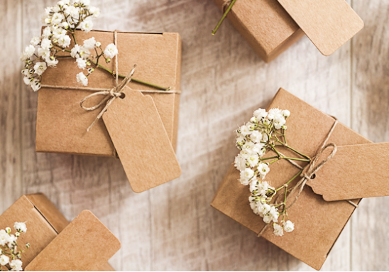 The Wedding Website of Pranay Nichani and Emilee O'Leary