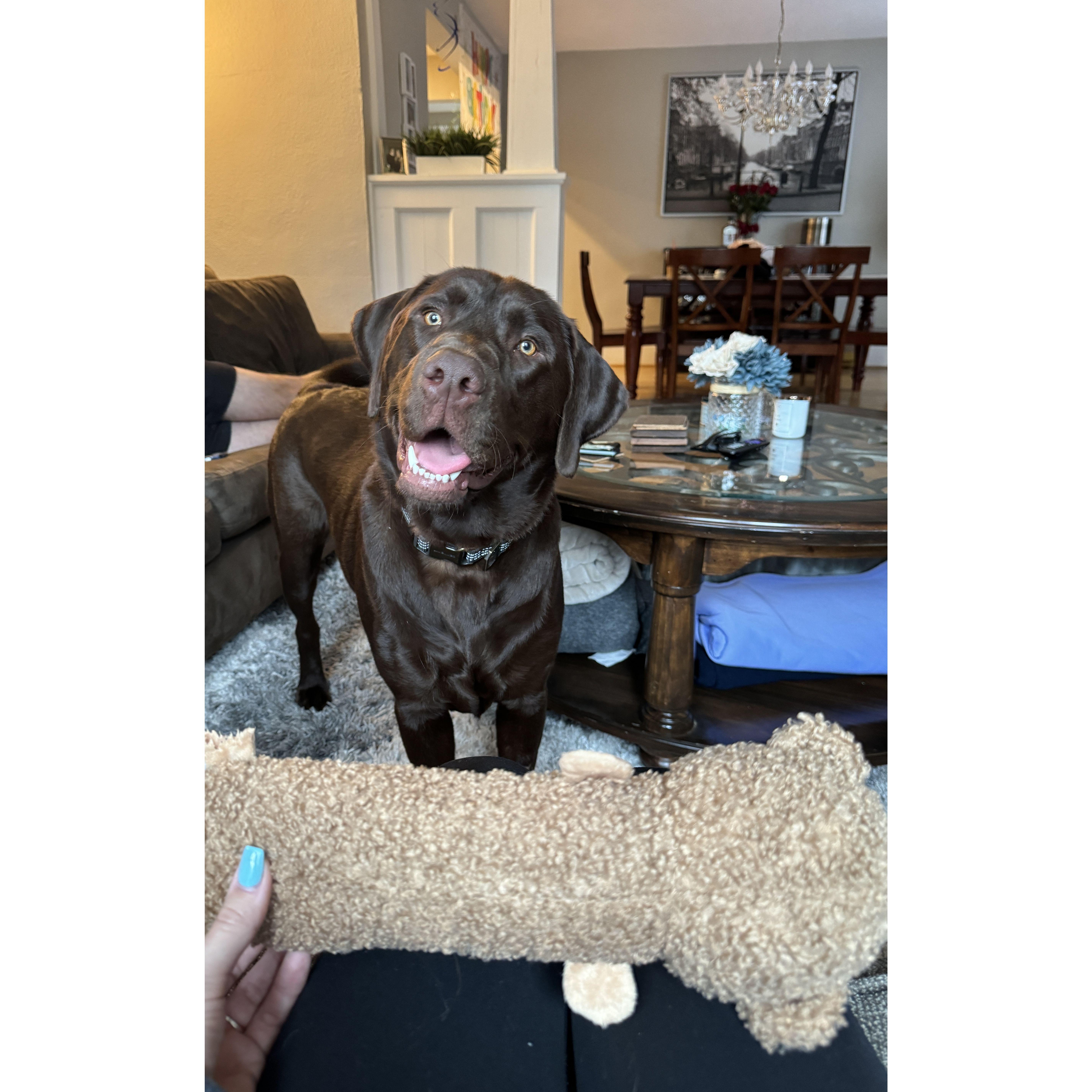 Timber's First Day Home - April 2024