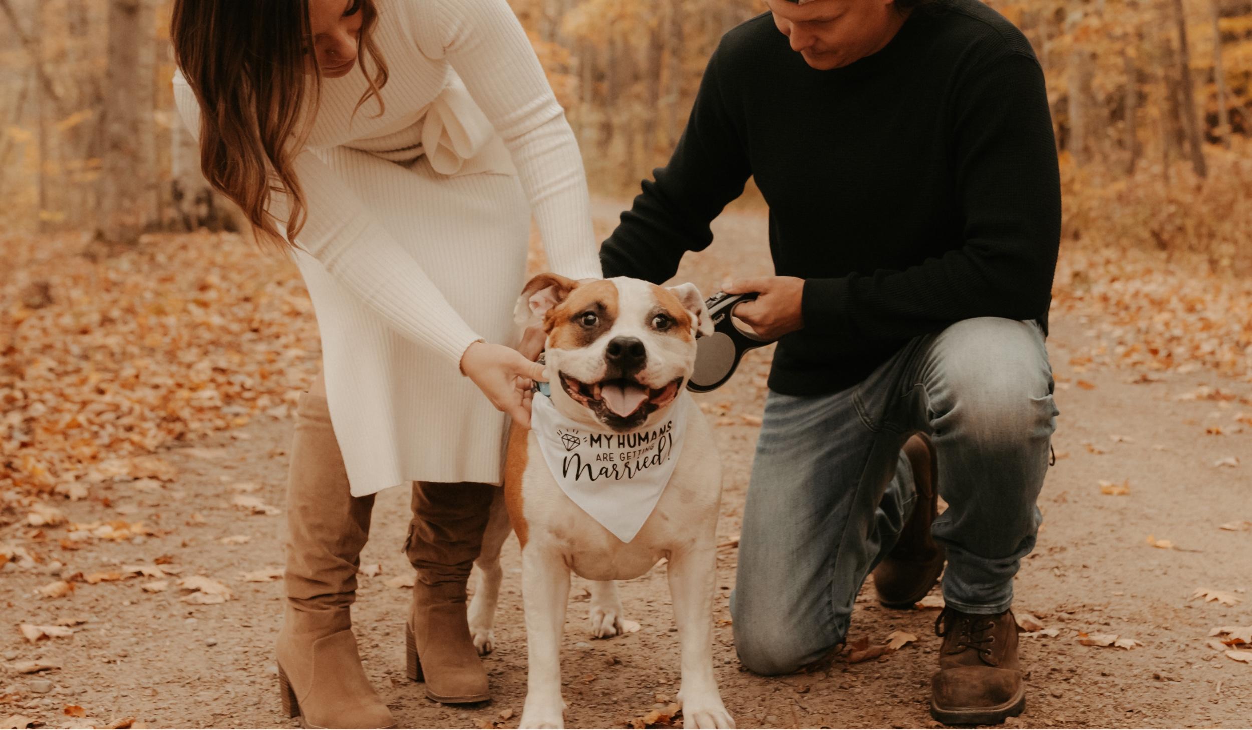 Hero Slideshow Image 0