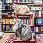 E Shaver Booksellers
