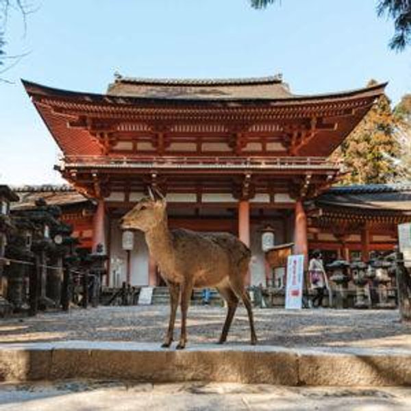 Nara - Day trip