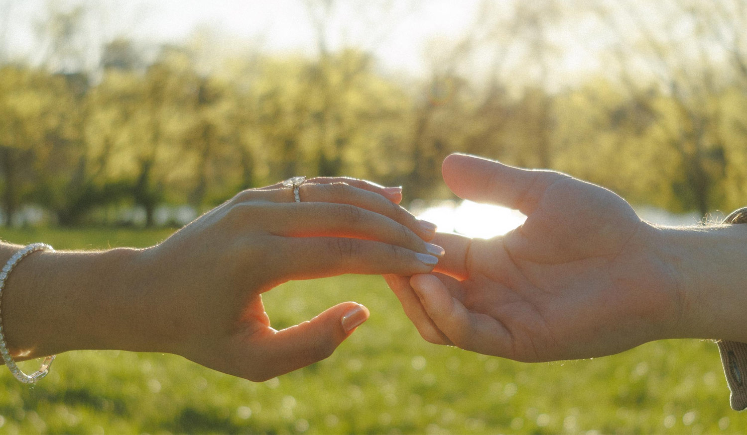The Wedding Website of Eli Moncado and Nick Springer