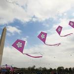 Blossom Kite Festival