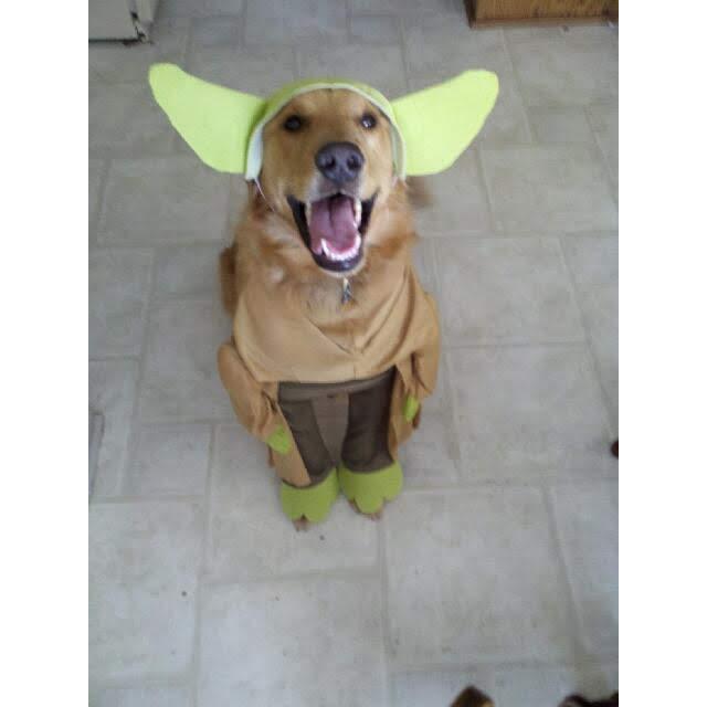 Yoda Booger