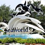 SeaWorld Orlando