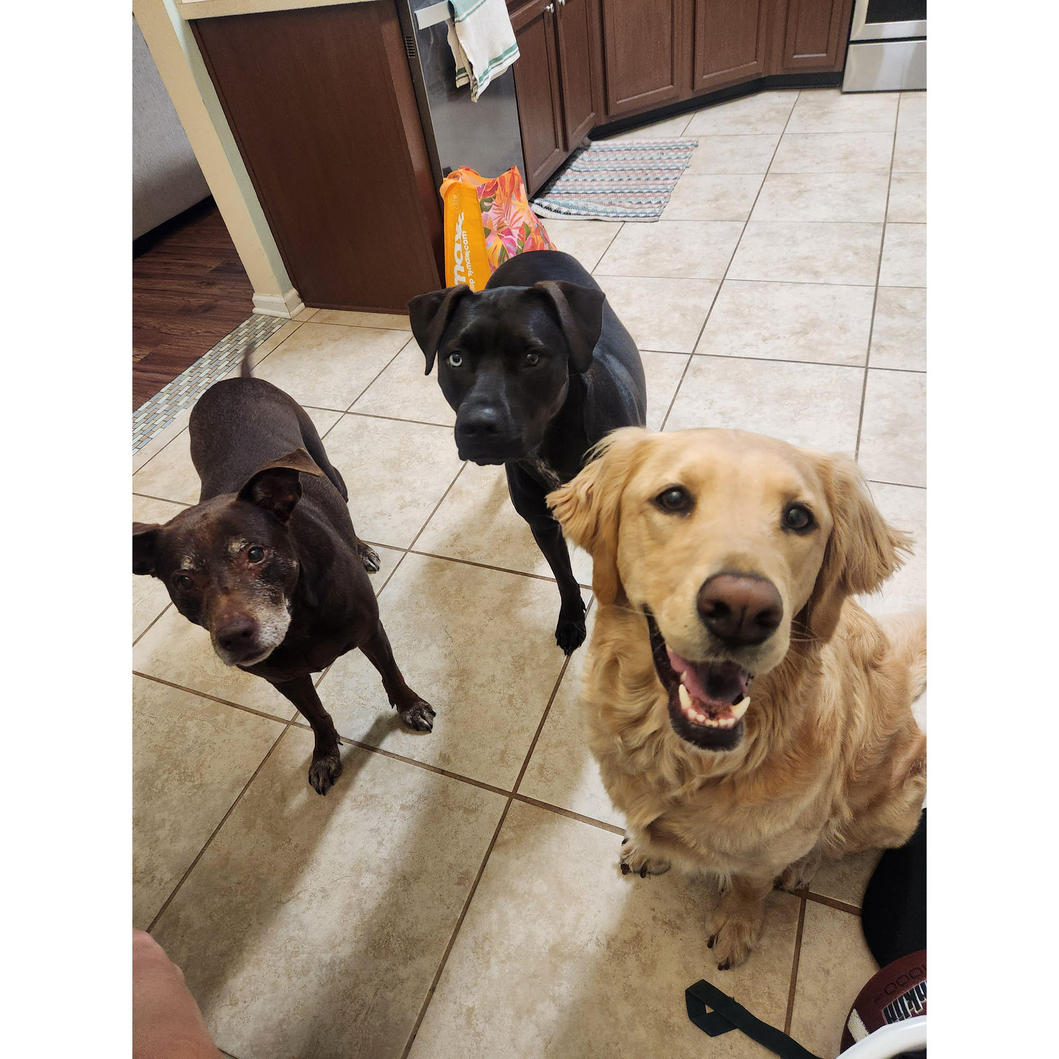The girls!!