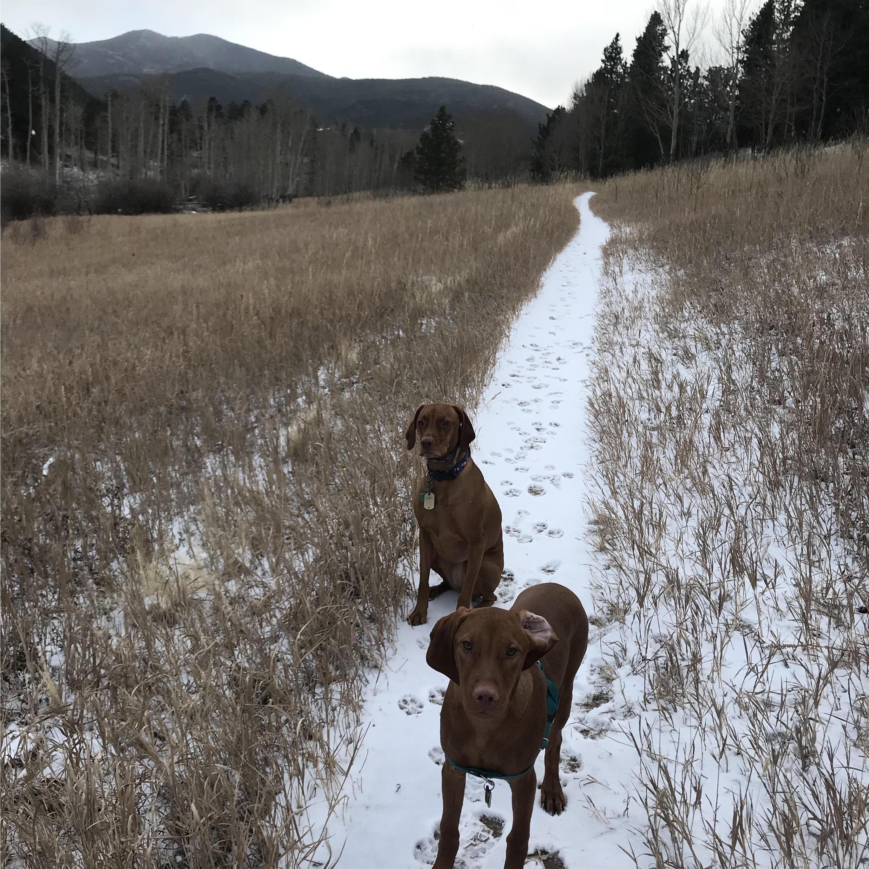 FUR BABIES ~Jade & Louie~